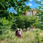 Holiday home Experience Nature In A Loft At Treetop Height *
