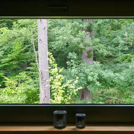 Experience Nature In A Loft At Treetop Height Ilsenburg