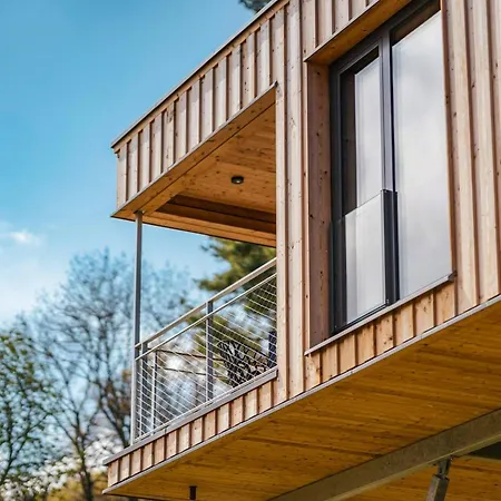 Experience Nature In A Loft At Treetop Height