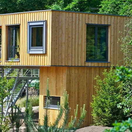 Tatil Evi Experience Nature In A Loft At Treetop Height *