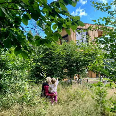 Tatil Evi Experience Nature In A Loft At Treetop Height *