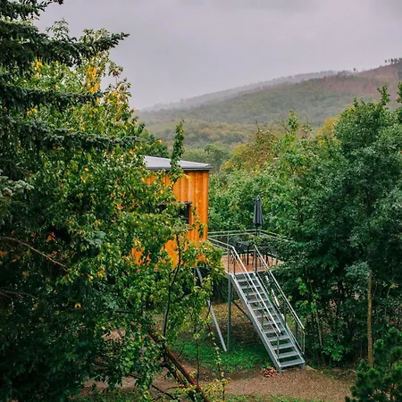 Tatil Evi Experience Nature In A Loft At Treetop Height *