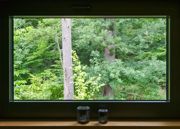 Experience Nature In A Loft At Treetop Height Ilsenburg