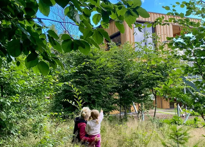 Holiday home Experience Nature In A Loft At Treetop Height *