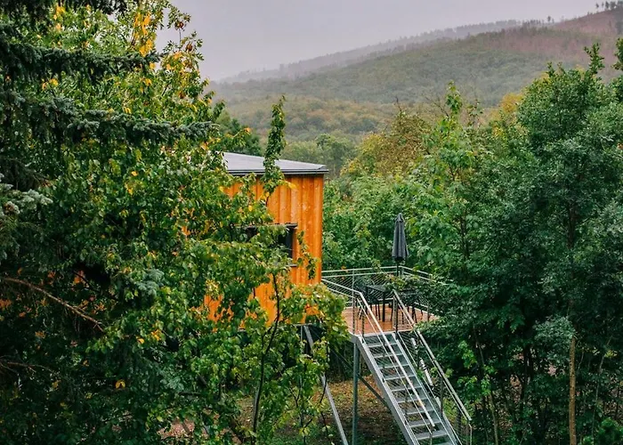 Holiday home Experience Nature In A Loft At Treetop Height *